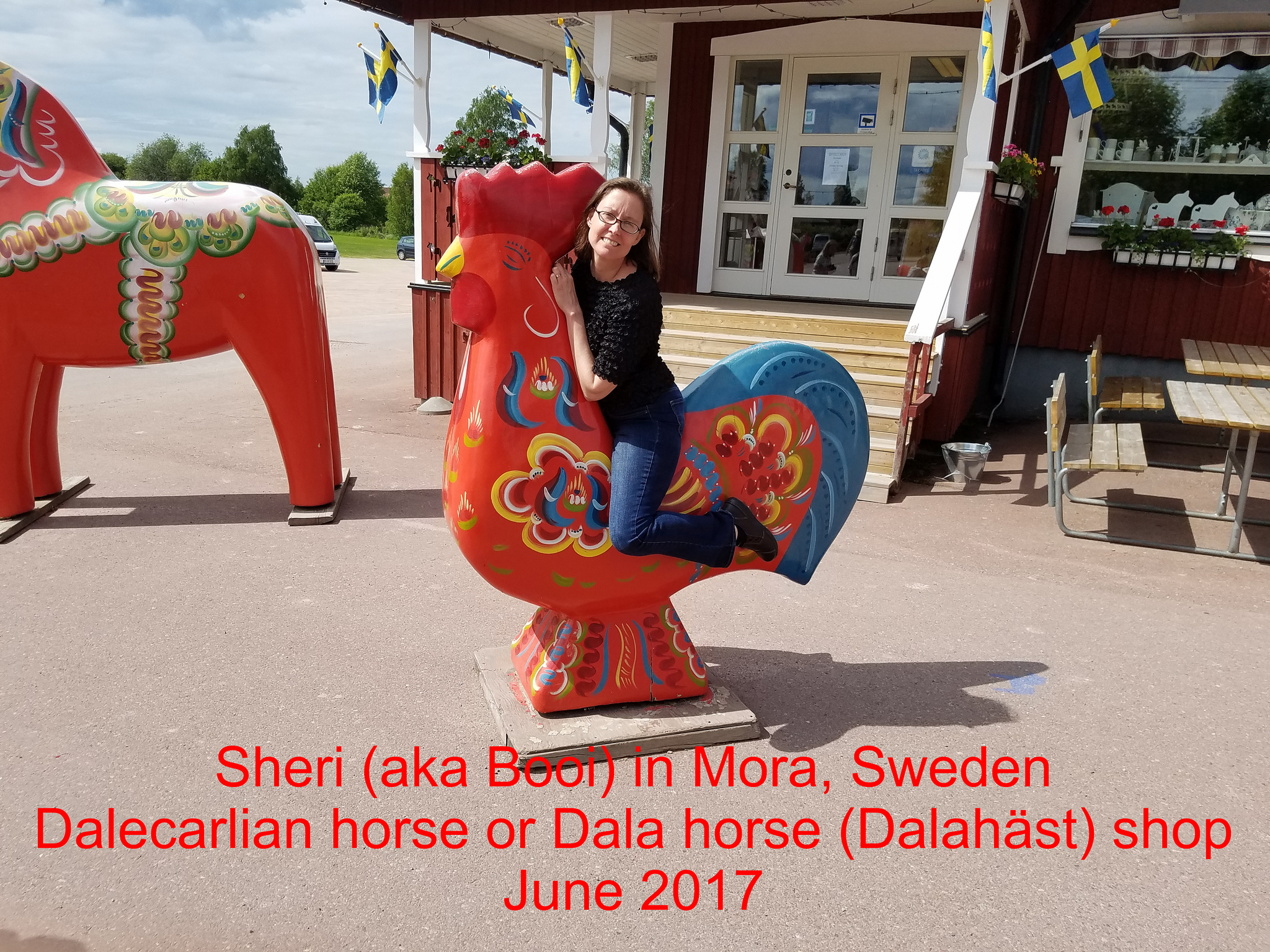 Booi in Dalarna Sweden